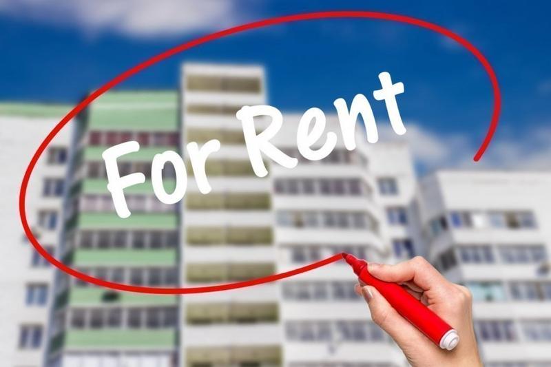 Exploring Options: Timeshare Rentals by Owner