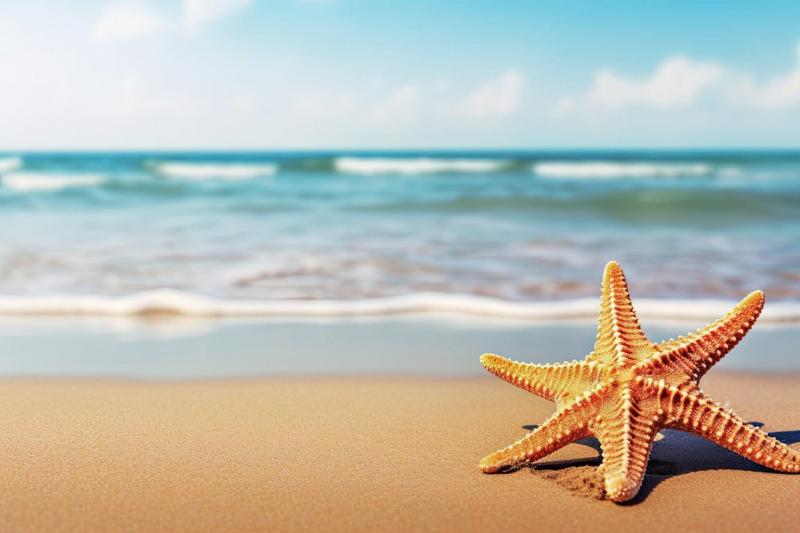 Timeshares in Cancun